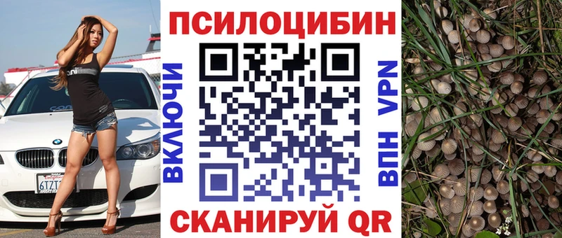 Галлюциногенные грибы мицелий  KRAKEN сайт  сайты даркнета официальный сайт  Межгорье 